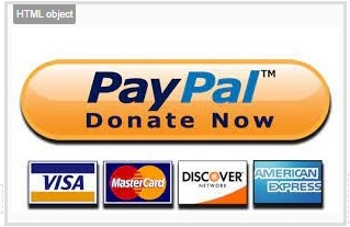 PayPal donation button