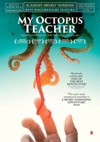 My Octopus Teacher Documentary Cover