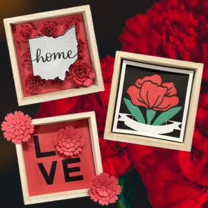 Carnation Days Shadowboxes
