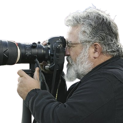 Ed Hall Jr.