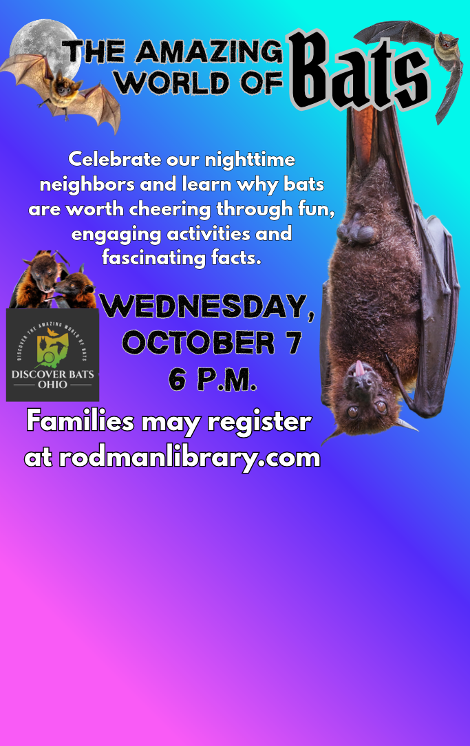 The Amazing World of Bats