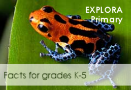 Explora Primary Image