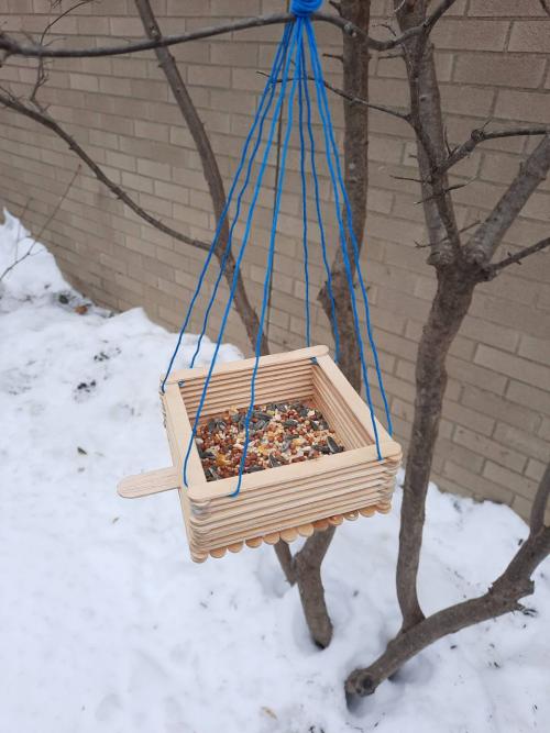 DIY Bird Feeder