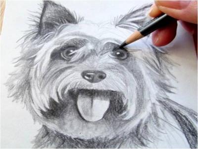 Realistic Dog Portrait